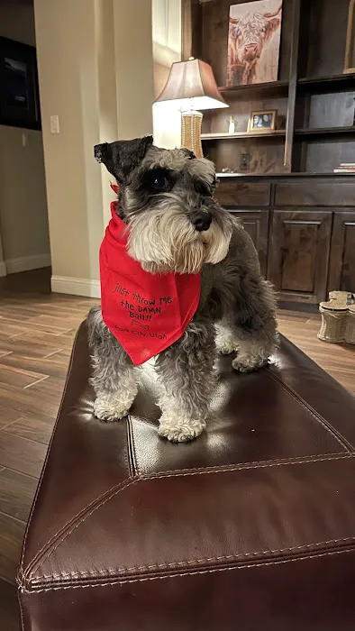 The Pet Hospital of Granbury Picture 6