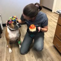 Granbury Animal Clinic ico