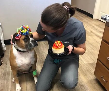 Granbury Animal Clinic