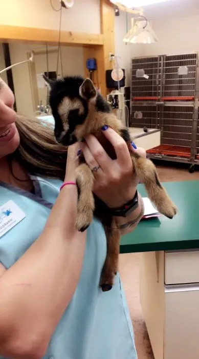 Granbury Animal Clinic Picture 6