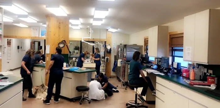 Granbury Animal Clinic Picture 5