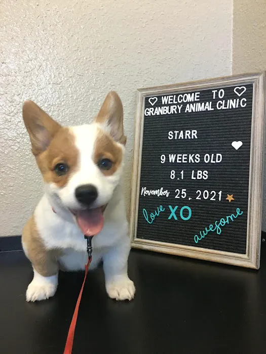 Granbury Animal Clinic Picture 9
