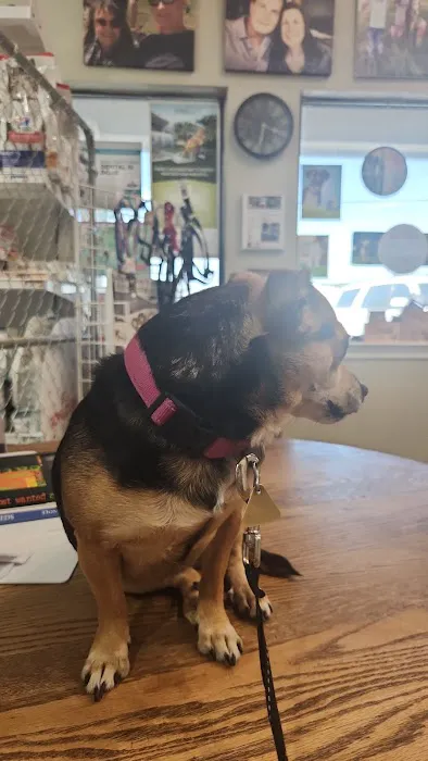 Glen Rose Veterinary Clinic Picture 1