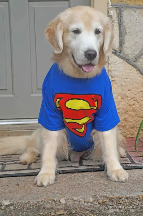 Glen Rose Veterinary Clinic Picture 7