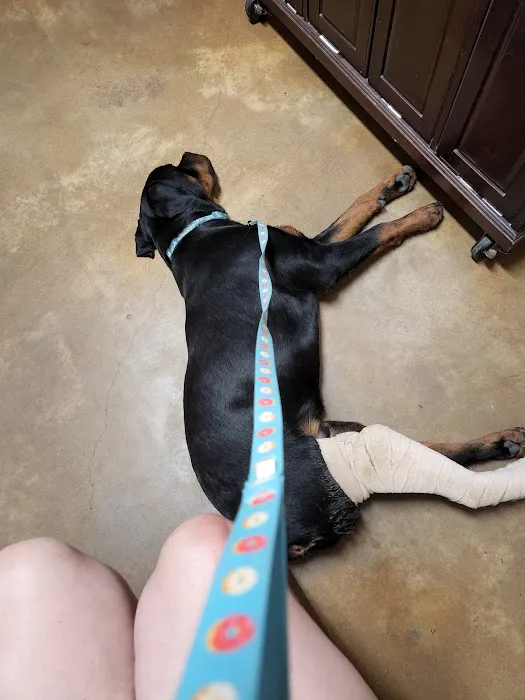 Mesquite Ridge Small Animal Hospital Picture 8