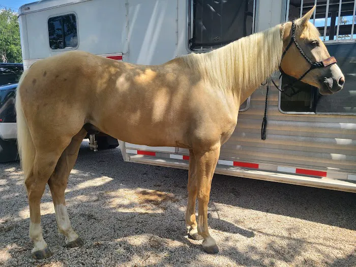 Peak Performance Equine Hospital Picture 6