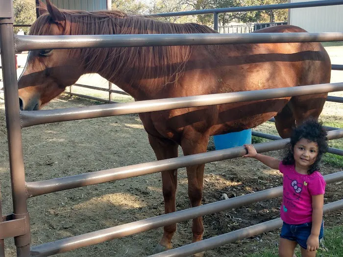 Peak Performance Equine Hospital Picture 9