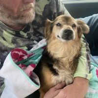 Princeton Veterinary Clinic ico