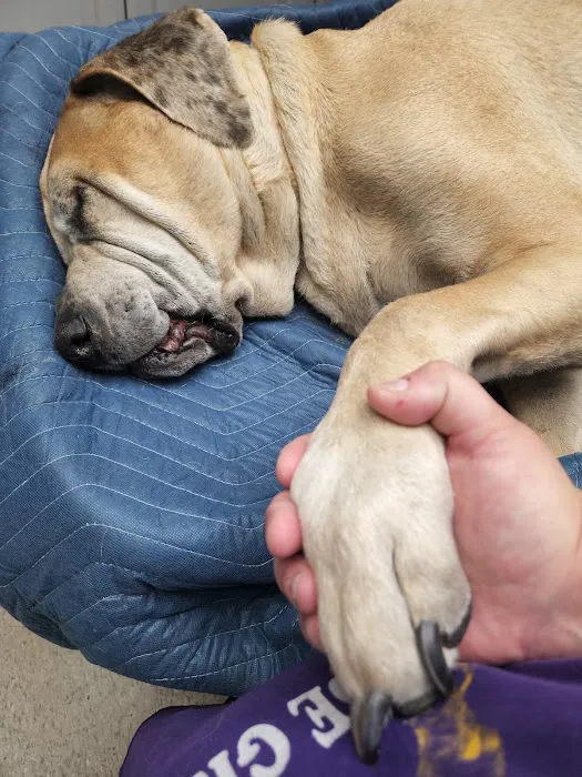 Princeton Veterinary Clinic Picture 3
