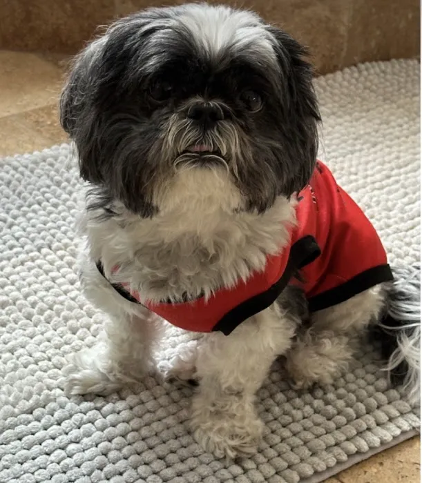 Princeton Veterinary Clinic Picture 7
