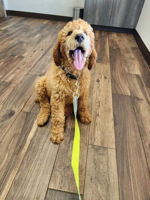 Summit Veterinary Hospital Picture 3