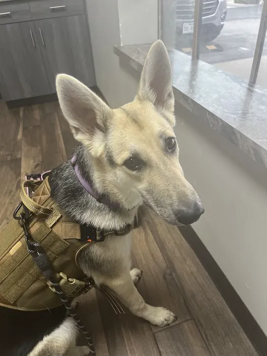 Summit Veterinary Hospital Picture 1