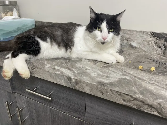 Summit Veterinary Hospital Picture 6