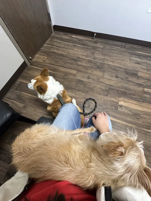 Summit Veterinary Hospital Picture 9