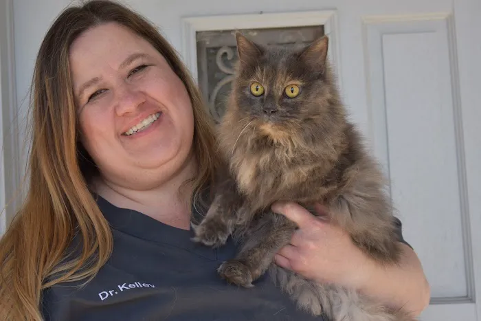 Dr Erin Kelley, DVM Picture 3