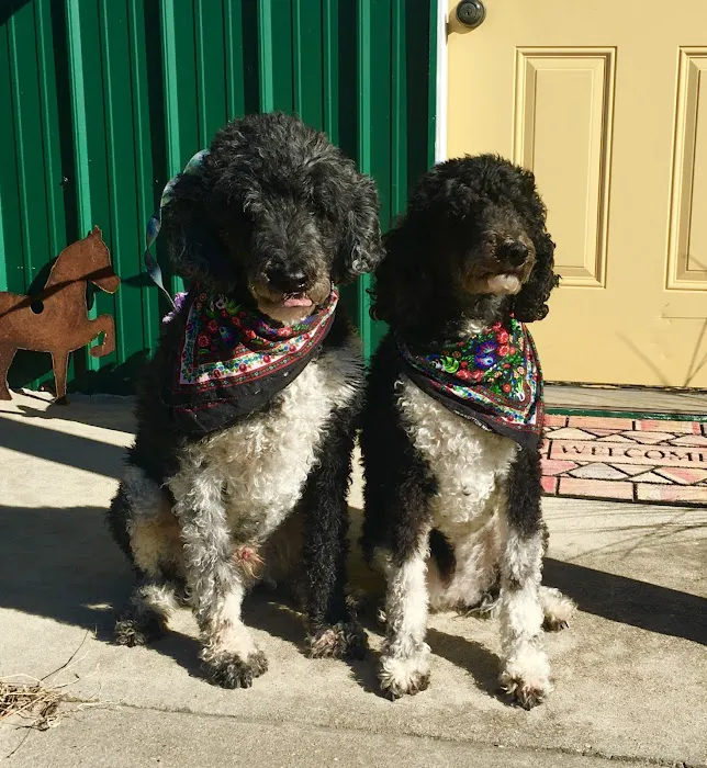 Tri-County Veterinary Services Picture 5