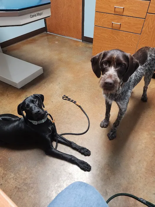 Animal Hospital of Melissa Picture 7