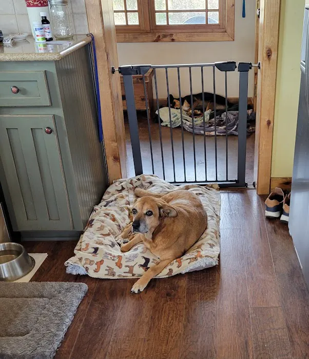 Hopkins County Veterinary Clinic Picture 4