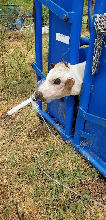 Hopkins County Veterinary Clinic Picture 7