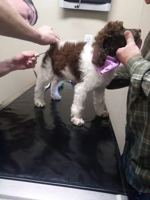 Hopkins County Veterinary Clinic Picture 10