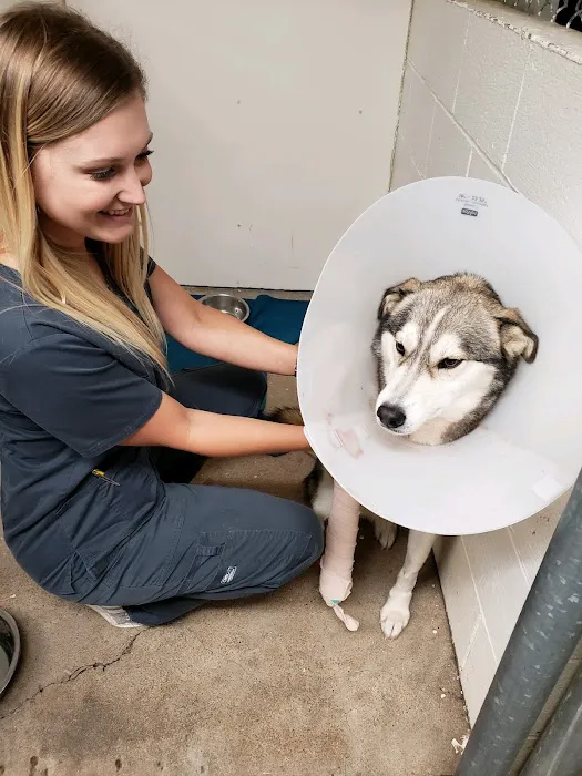 Sulphur Springs Vet Clinic Picture 8
