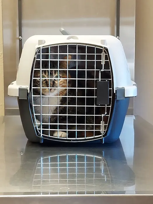 Edom Veterinary Clinic Picture 4