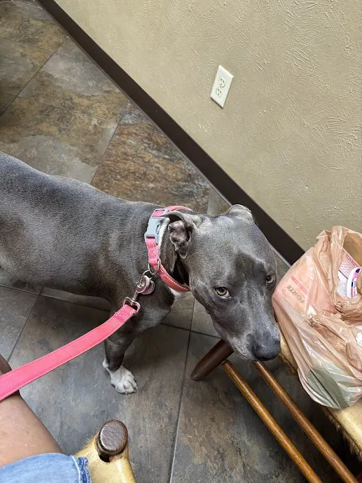 Edom Veterinary Clinic Picture 8