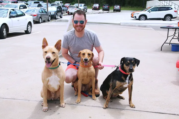 Lake Country Animal Clinic Picture 6