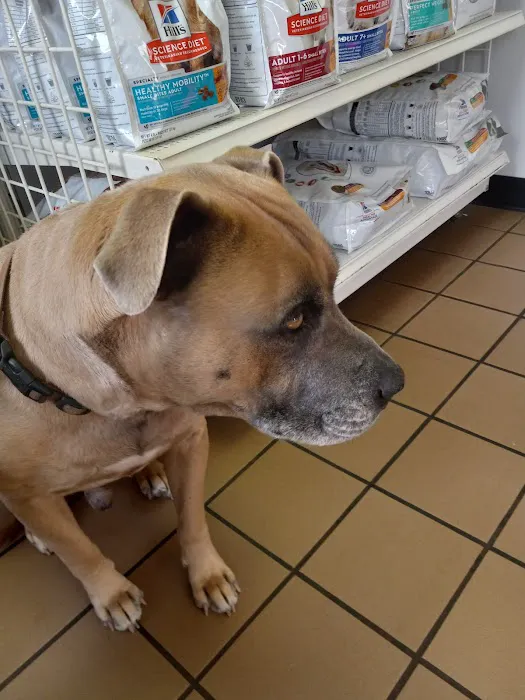 Lake Country Animal Clinic Picture 8