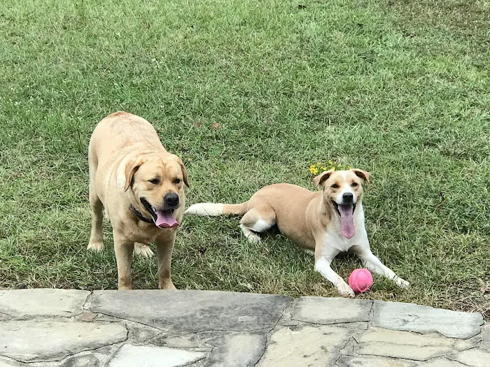 Lake Country Animal Clinic Picture 10