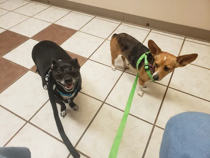 Quitman Animal Clinic Picture 3