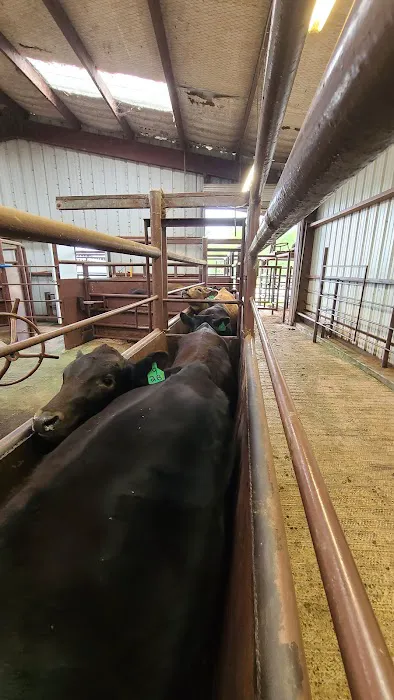 Cattlemens Veterinary Services Picture 1