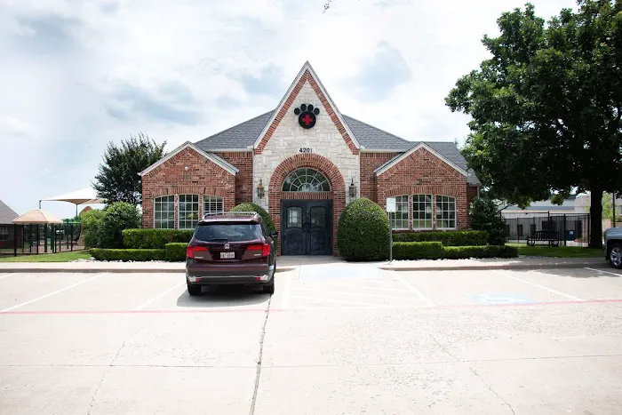 Highlands-Eldorado Veterinary Hospital Picture 6