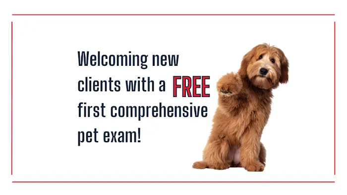 Highlands-Eldorado Veterinary Hospital Picture 9