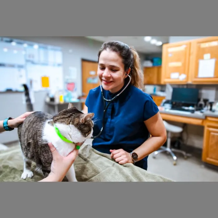 Highlands-Eldorado Veterinary Hospital Picture 10