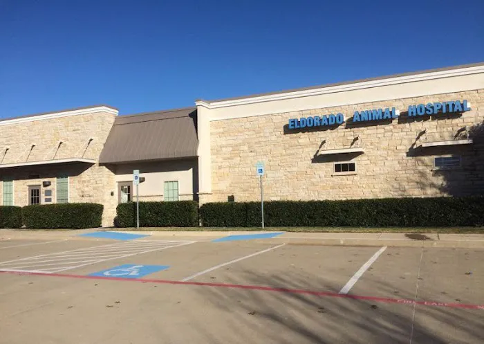 Eldorado Animal Hospital Picture 10
