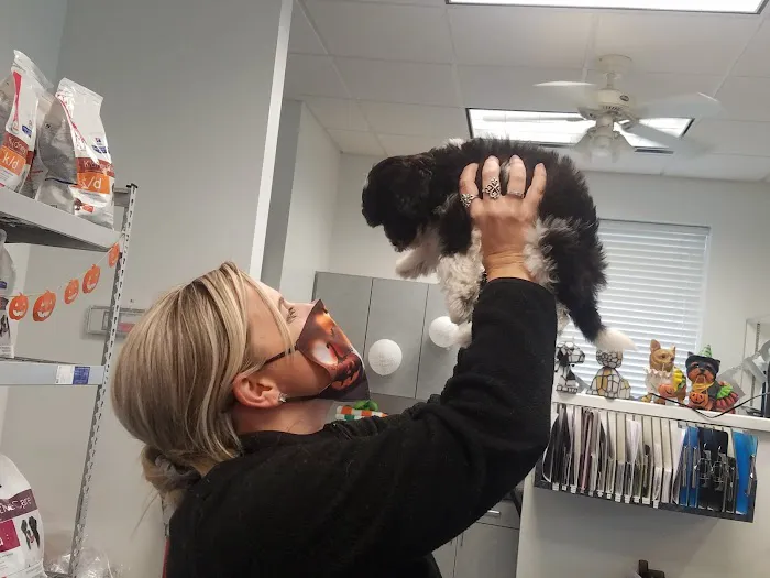 Eldorado Animal Hospital Picture 9