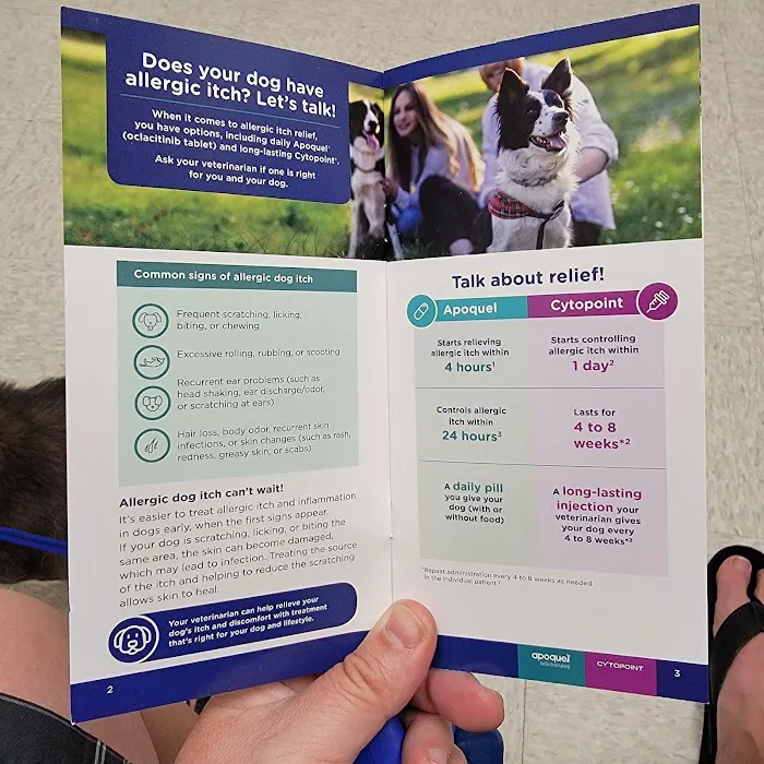 Lake Forest Animal Hospital Picture 4