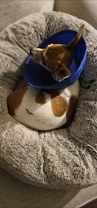Lake Forest Animal Hospital Picture 1