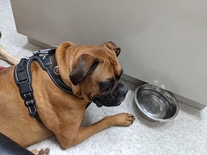 Lake Forest Animal Hospital Picture 3