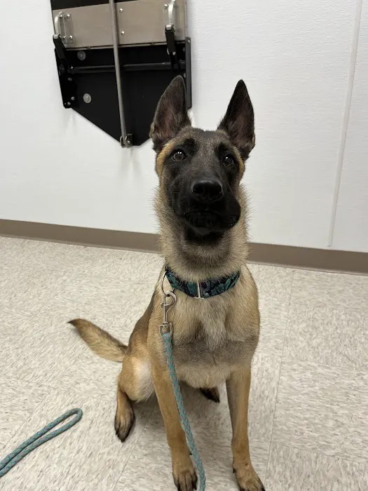 Lake Forest Animal Hospital Picture 10