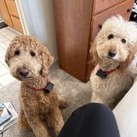 Heritage Veterinary Hospital ico