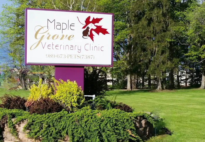 Maple Grove Veterinary Clinic & Pet Retreat Picture 7