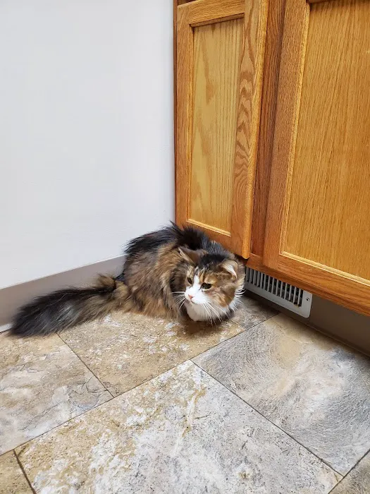 Maple Grove Veterinary Clinic & Pet Retreat Picture 10