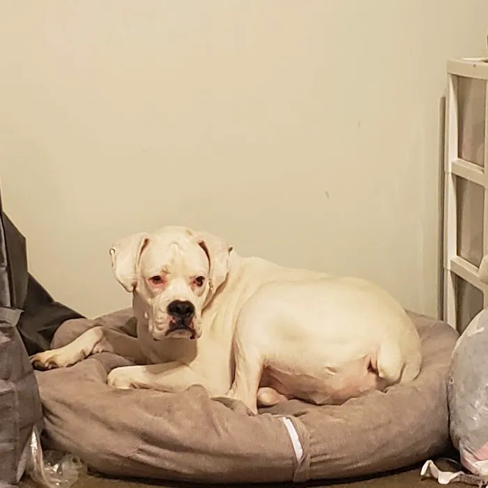 Caro Veterinary Clinic Picture 8