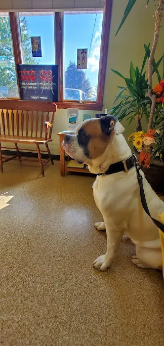 Caro Veterinary Clinic Picture 9