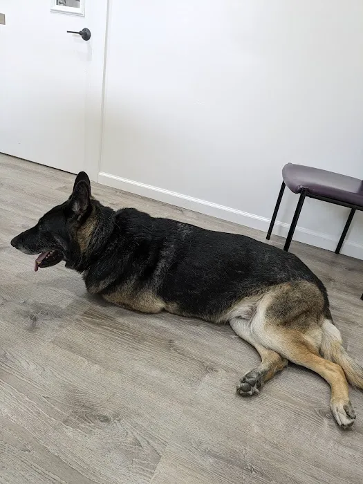 4-Paws Veterinary Clinic Picture 1