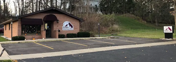4-Paws Veterinary Clinic Picture 9