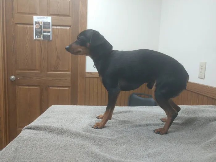 Laursen Veterinary Service Picture 8