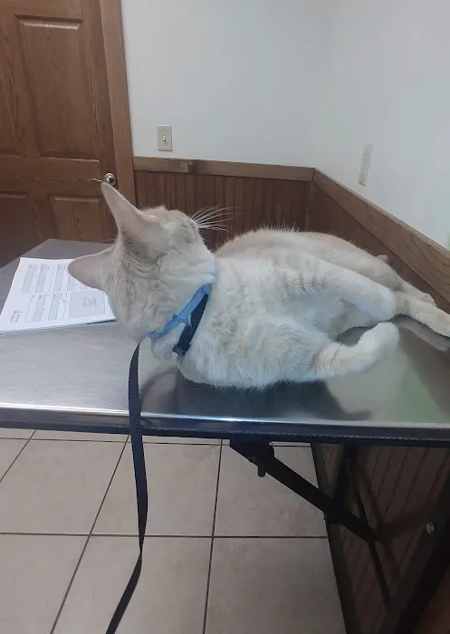 Laursen Veterinary Service Picture 7